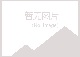 安泽县夜山房地产有限公司